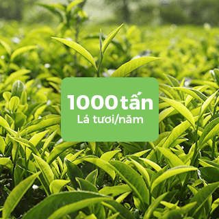 1000_tan_0b737fbcd0f04587b1ba8eca04129aff