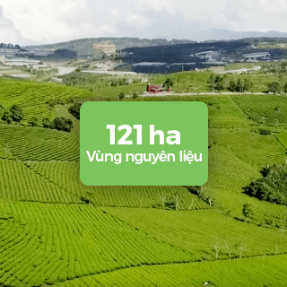 121_ha_vung_nguyen_lieu