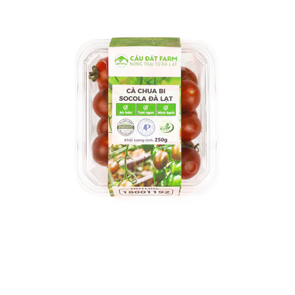 Ca-chua-bi-socola-5kg-thung-96-5844