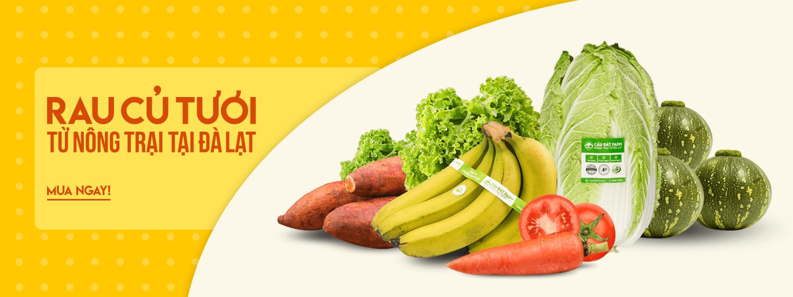 Imgonline-com-ua-compresstosize-xst2owuyimkvc5w